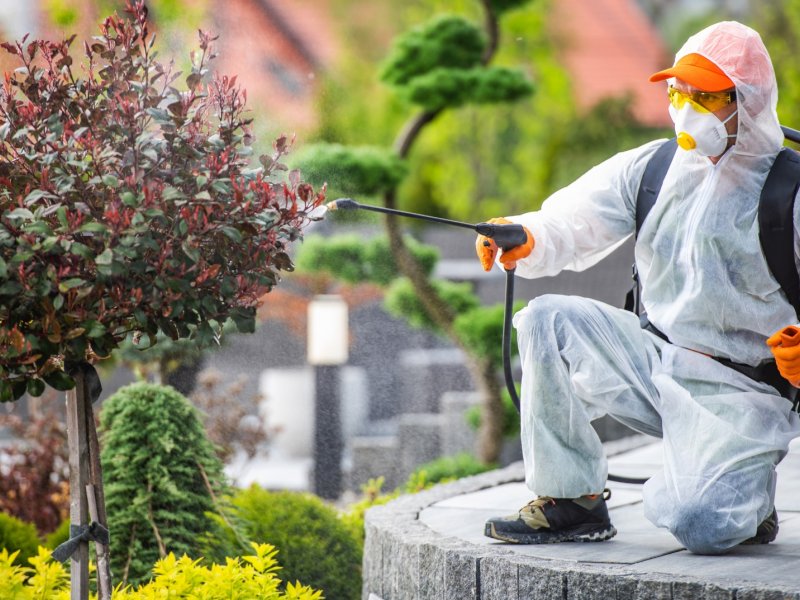 Burhaniye Haşere İlaçlama